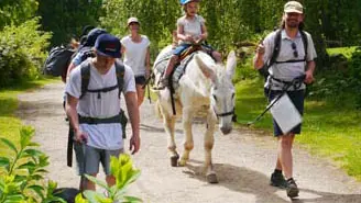 Ferme pédagogique Les Anes de Vassivière_4