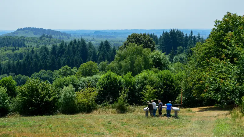 Le Grand Puyconnieux