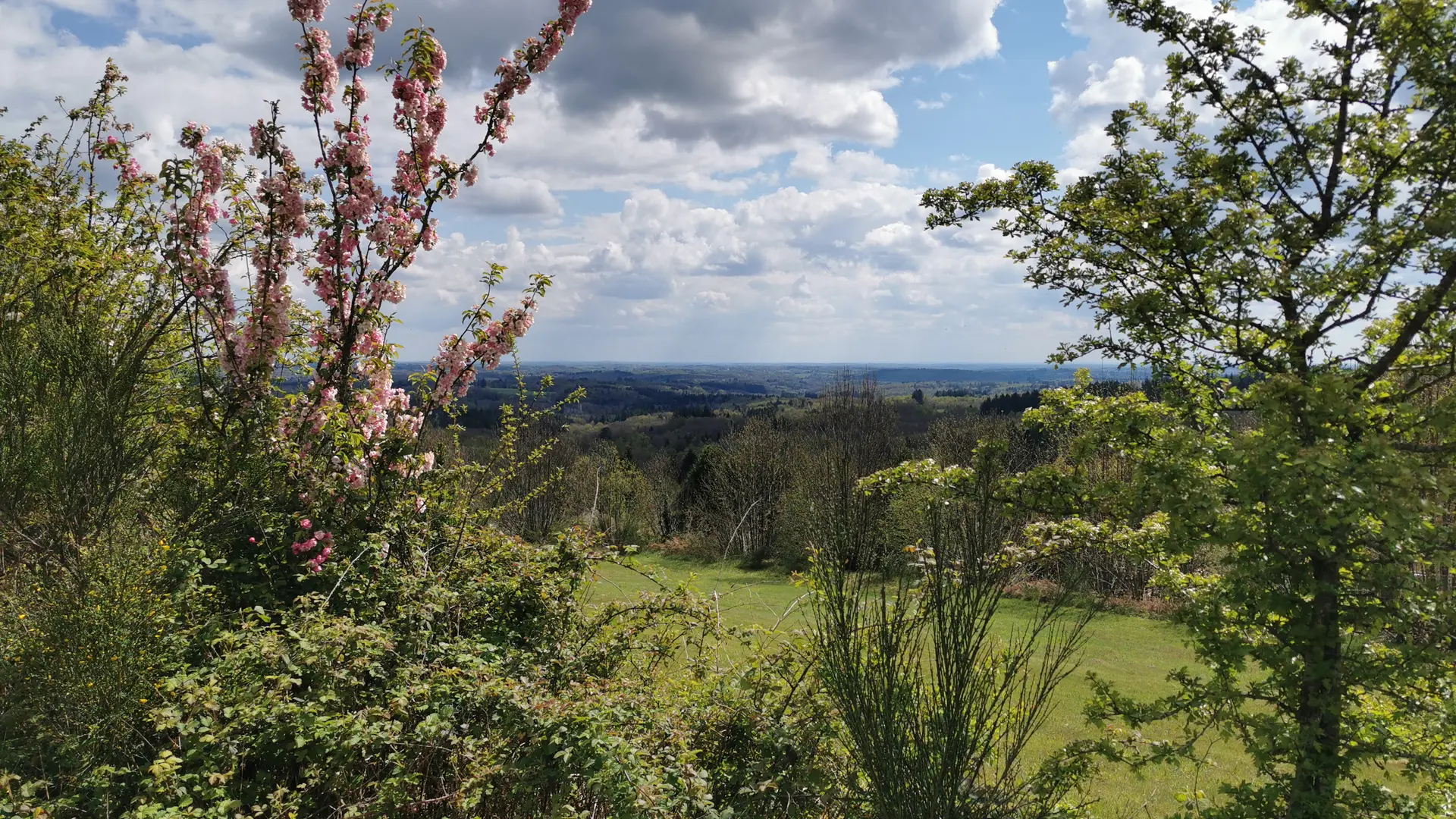 Le Grand Puyconnieux