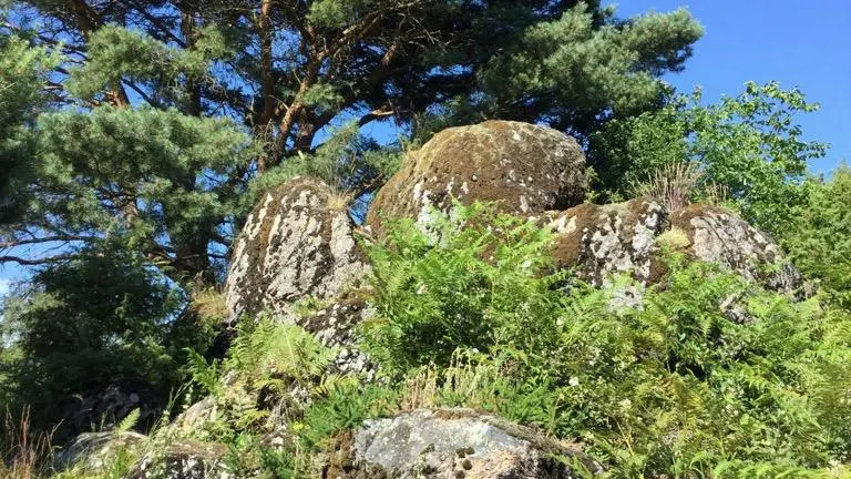 Landes des pierres du mas