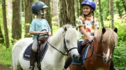 image poney