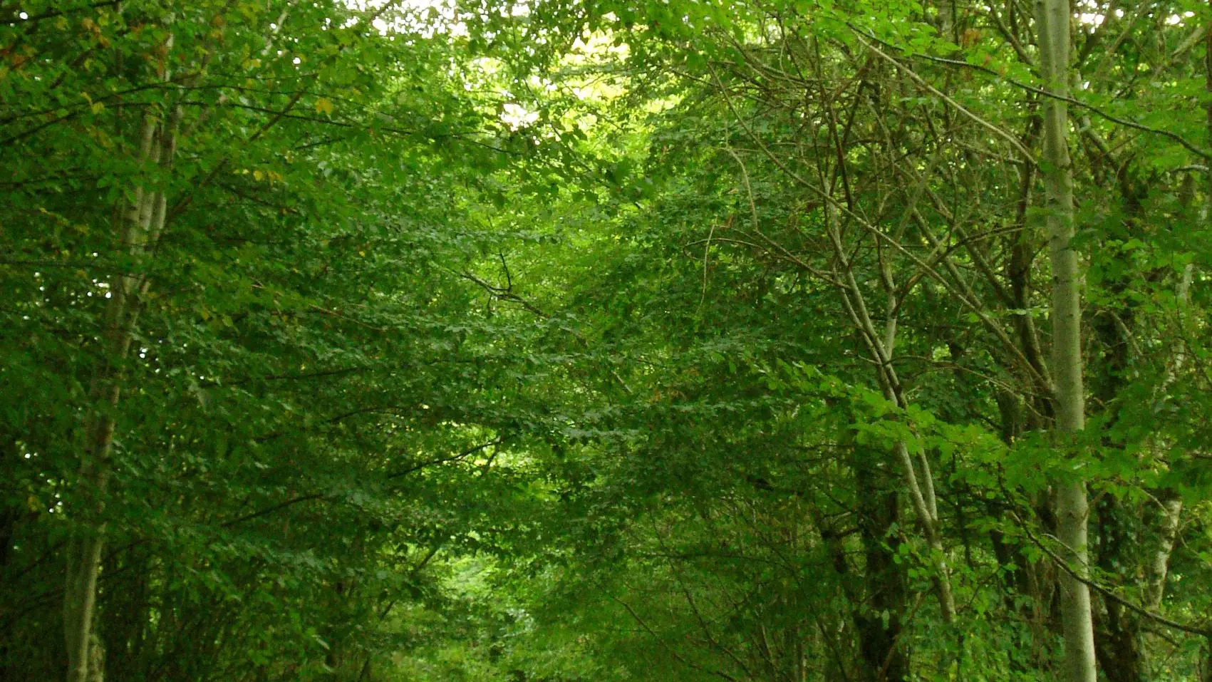 Itinéraire de la Croix Robert_2