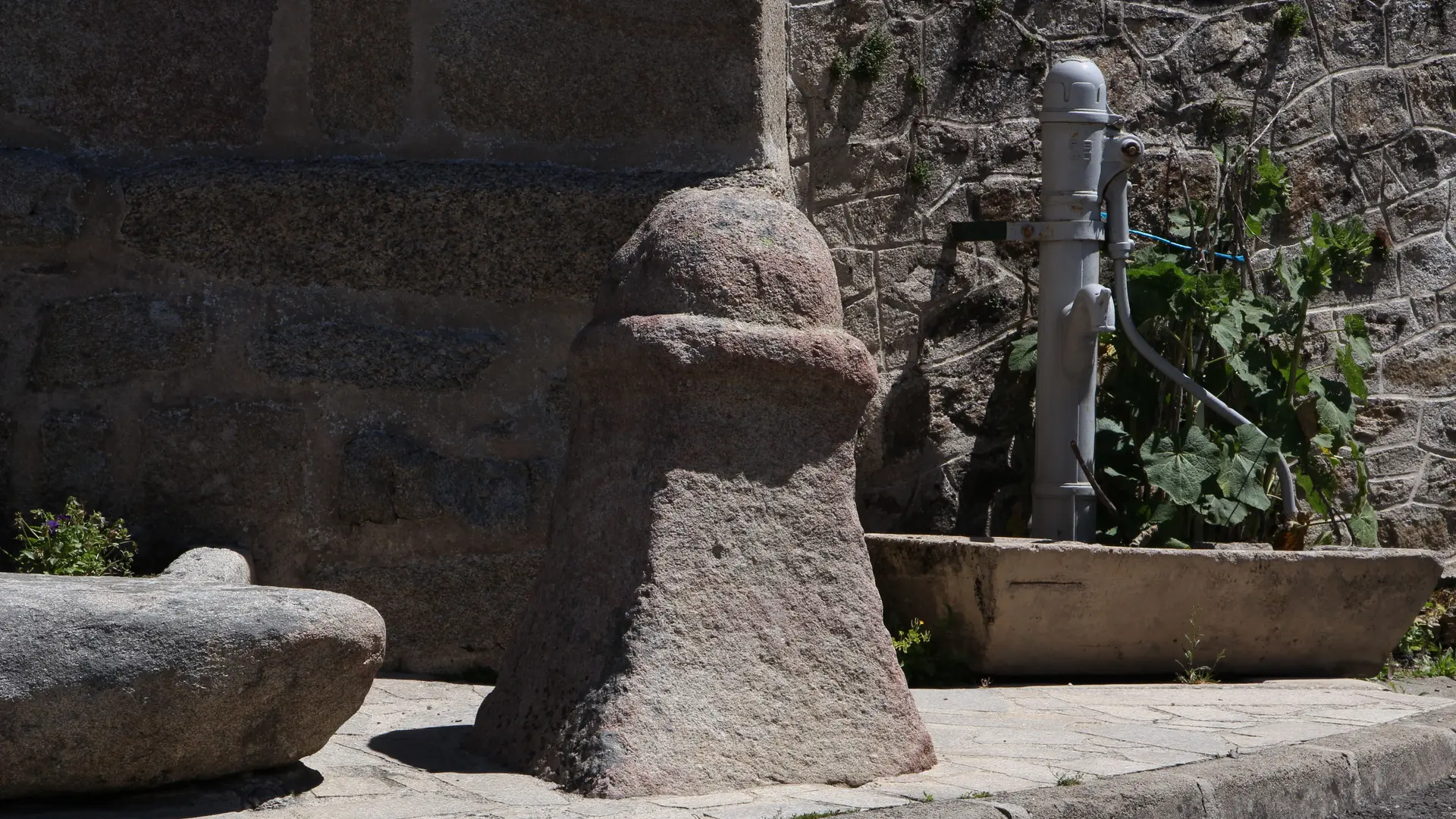 Le sentier du renard