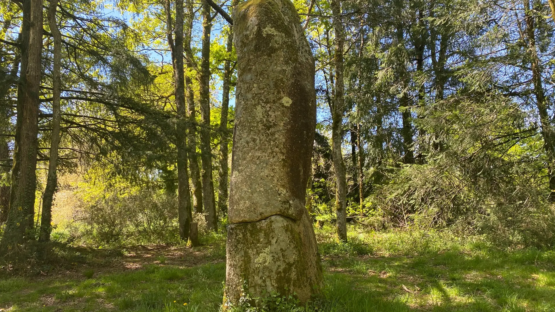 Le sentier de la perrière