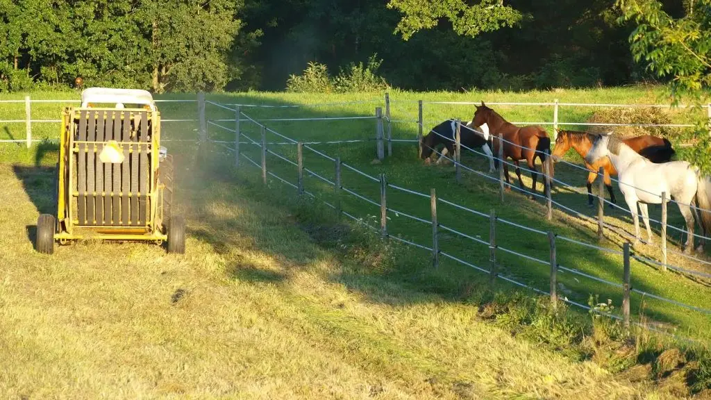 le-fournil-chevaux