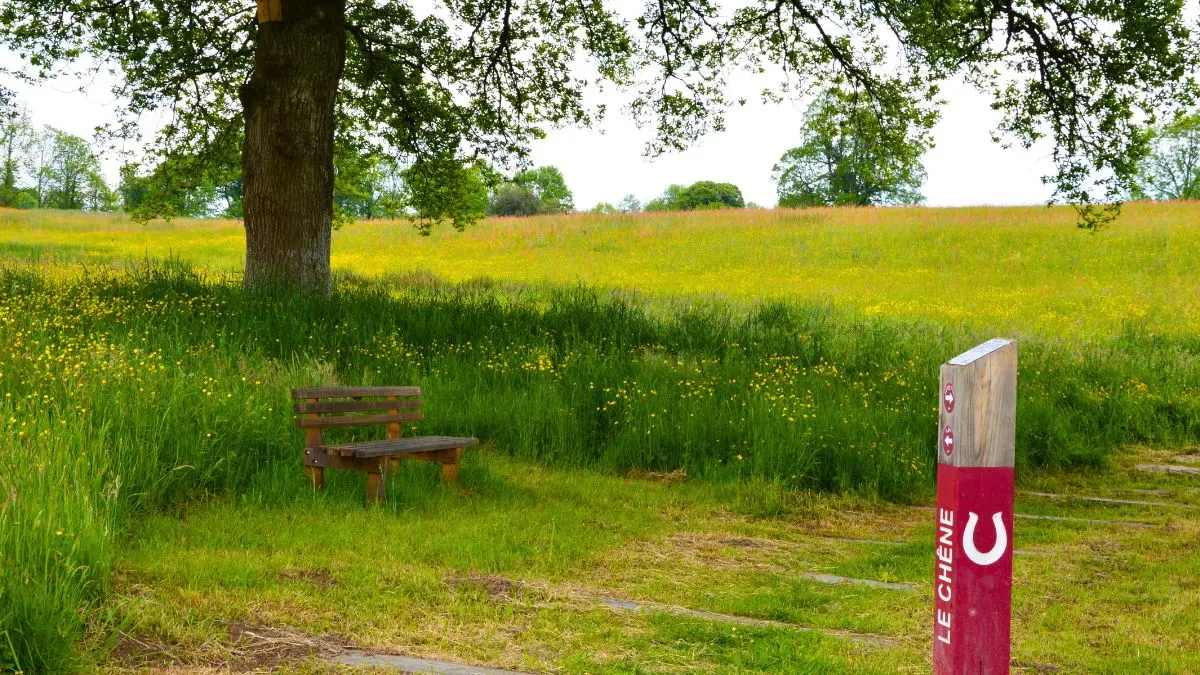 Parc du Vallon des Granges - Châlus