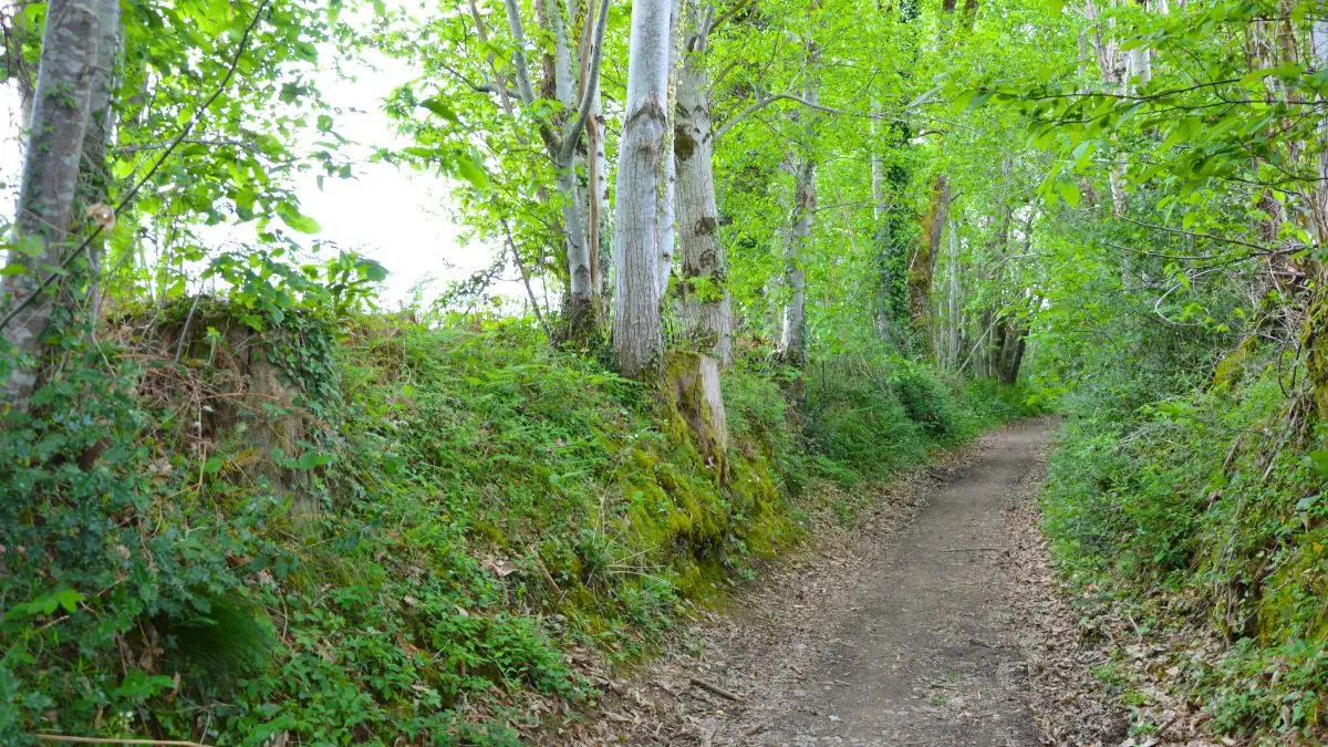 Parc du Vallon des Granges - Châlus