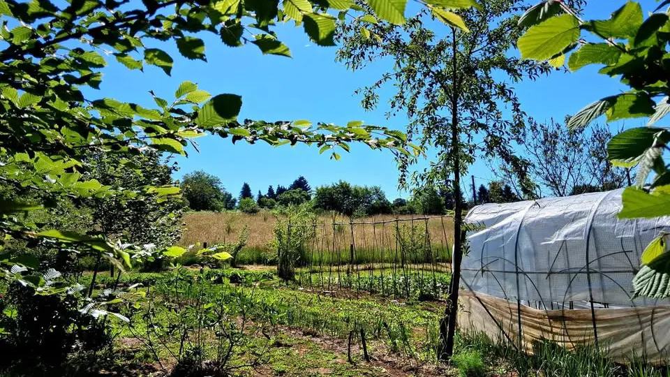 petite-ferme-des-marmiers