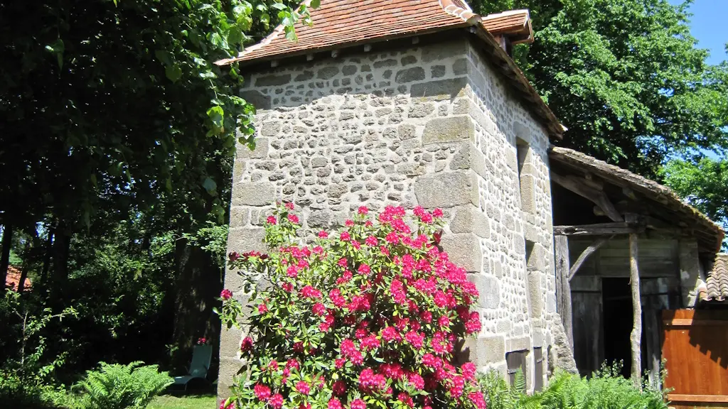 razès pigeonnier