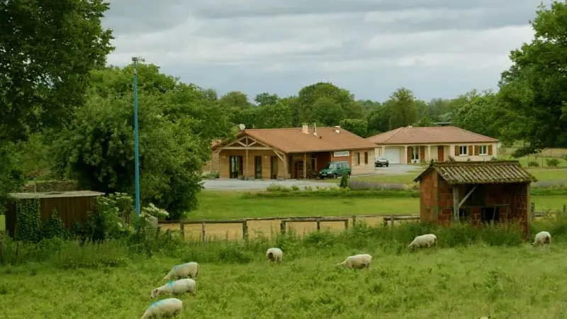 Sentier des Bruyères_5