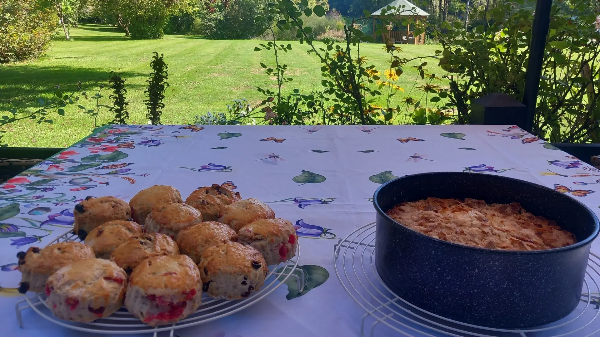 scones and apple cake at spruce lake tea garden