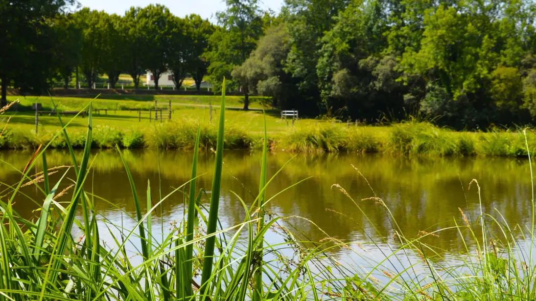 sentier-musical-de-pageas