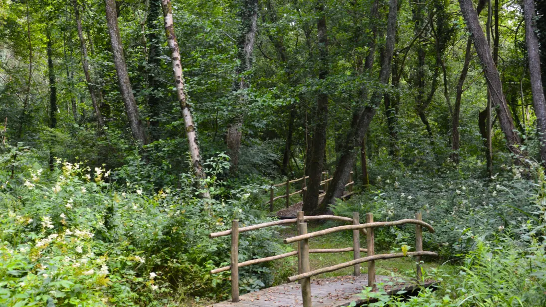 sentier-musical-de-pageas