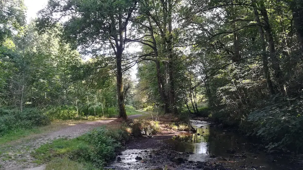 sentier les Biards bord de l'Aurence