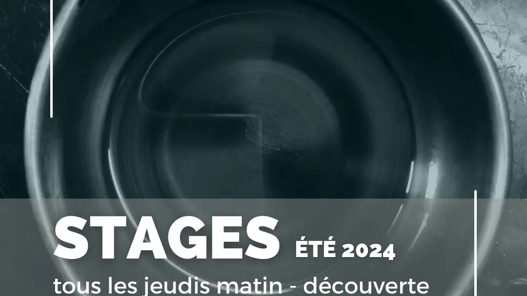 stages de l'été 2024