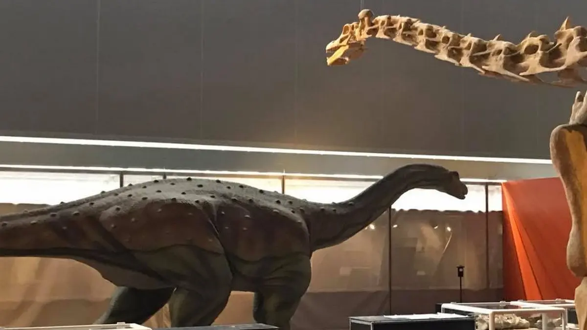 MUSEE DES DINOSAURES