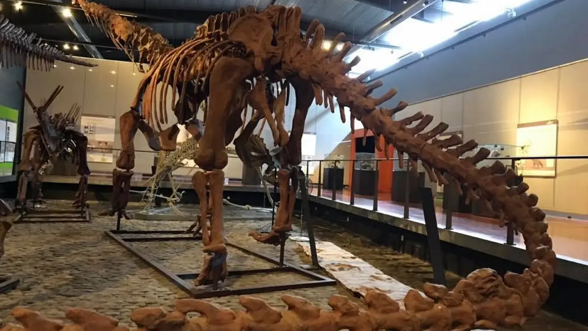 MUSEE DES DINOSAURES