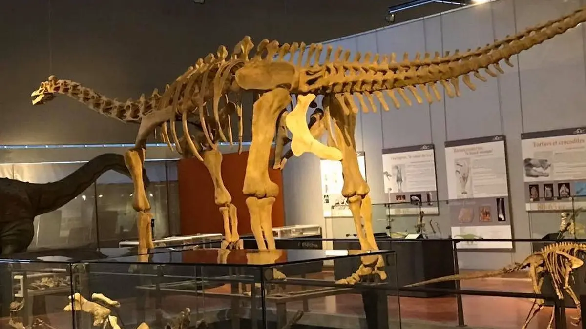 MUSEE DES DINOSAURES