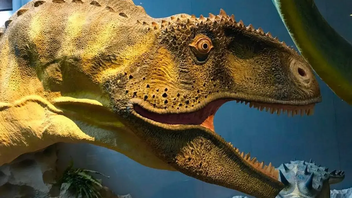 MUSEE DES DINOSAURES