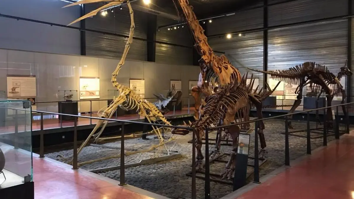 MUSEE DES DINOSAURES