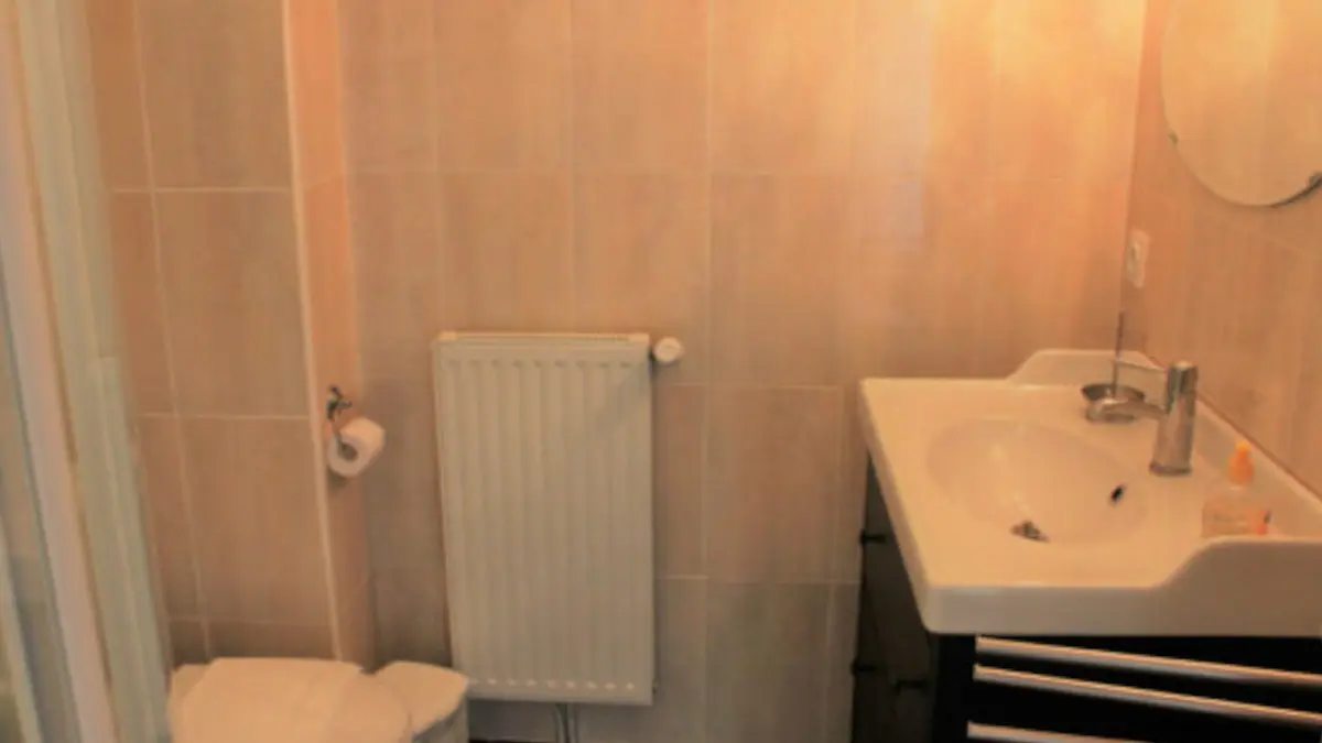 CAFE CULTUREL LE CERF-VOLANT