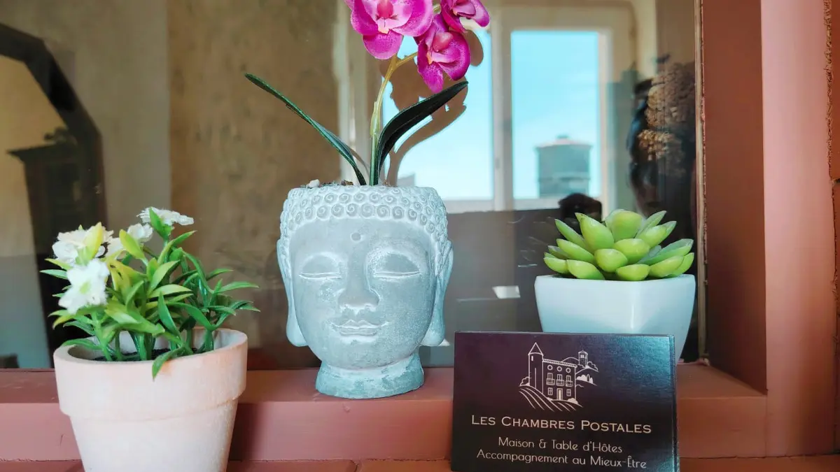 LES CHAMBRES POSTALES