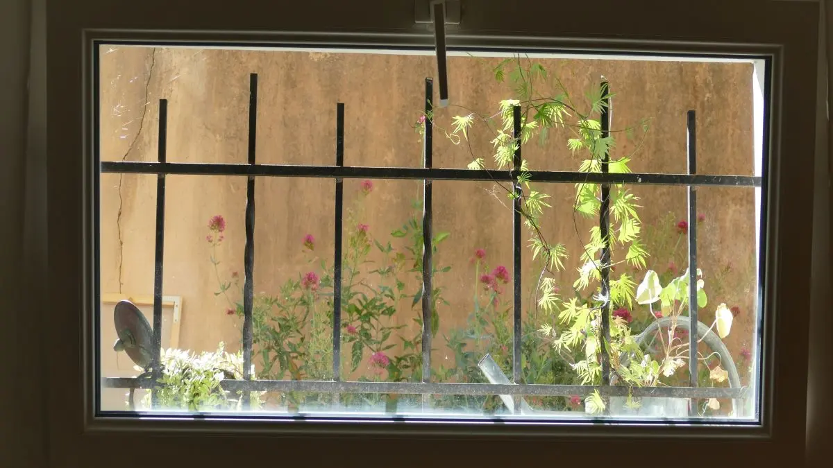 Le Figier, fenêtre fleurie