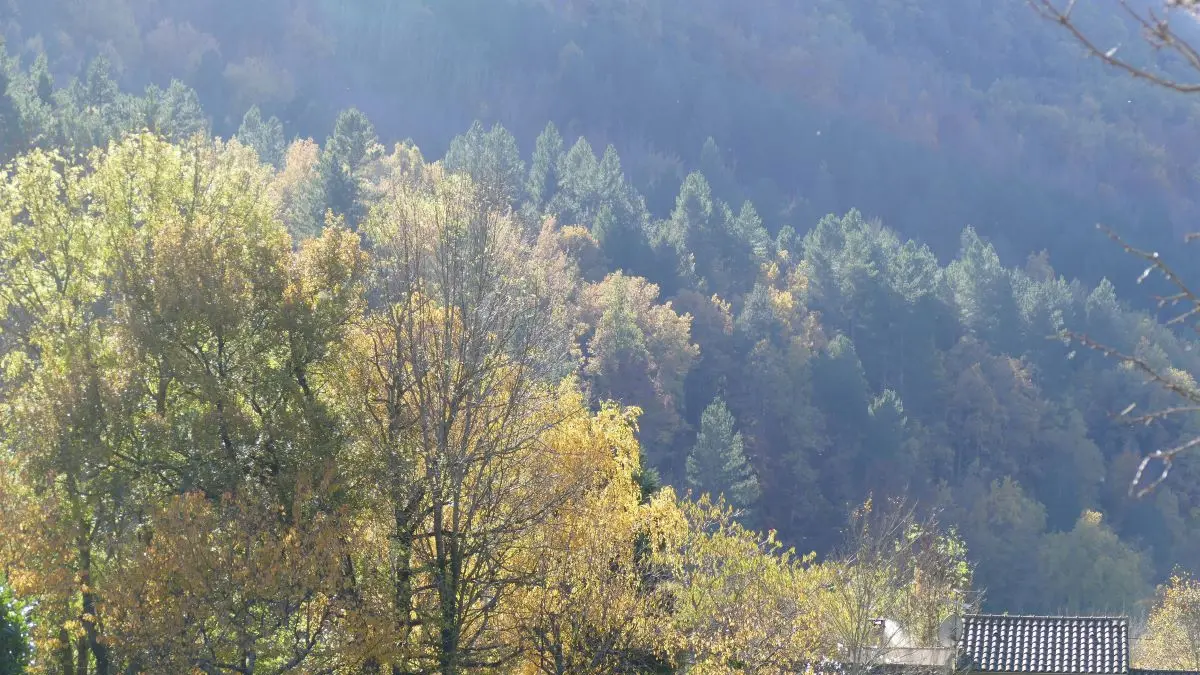 Le Figuier, vue du gîte