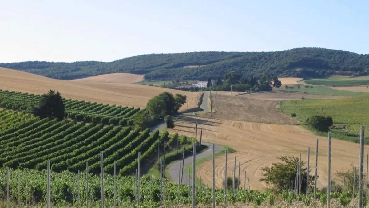 11G900045 Domaine de Granet_7