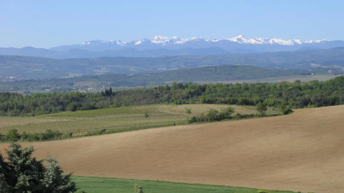 11G900045 Domaine de Granet - MALEPERE_1