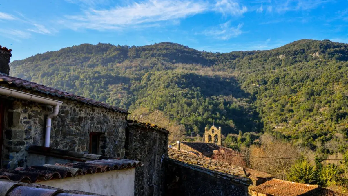 11G1111 - L'Amandier_4