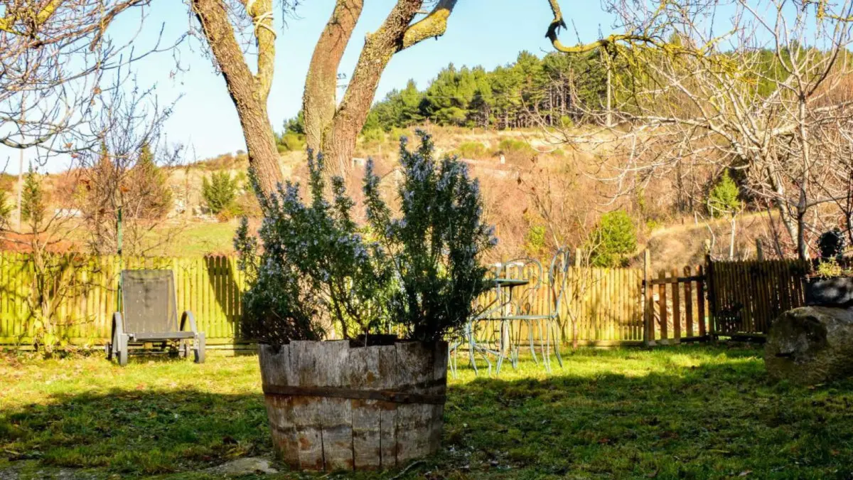 11G1111 - L'Amandier_3