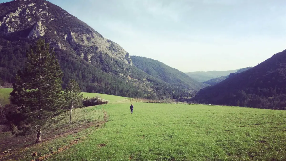 11G1161 - La Tuilerie_6