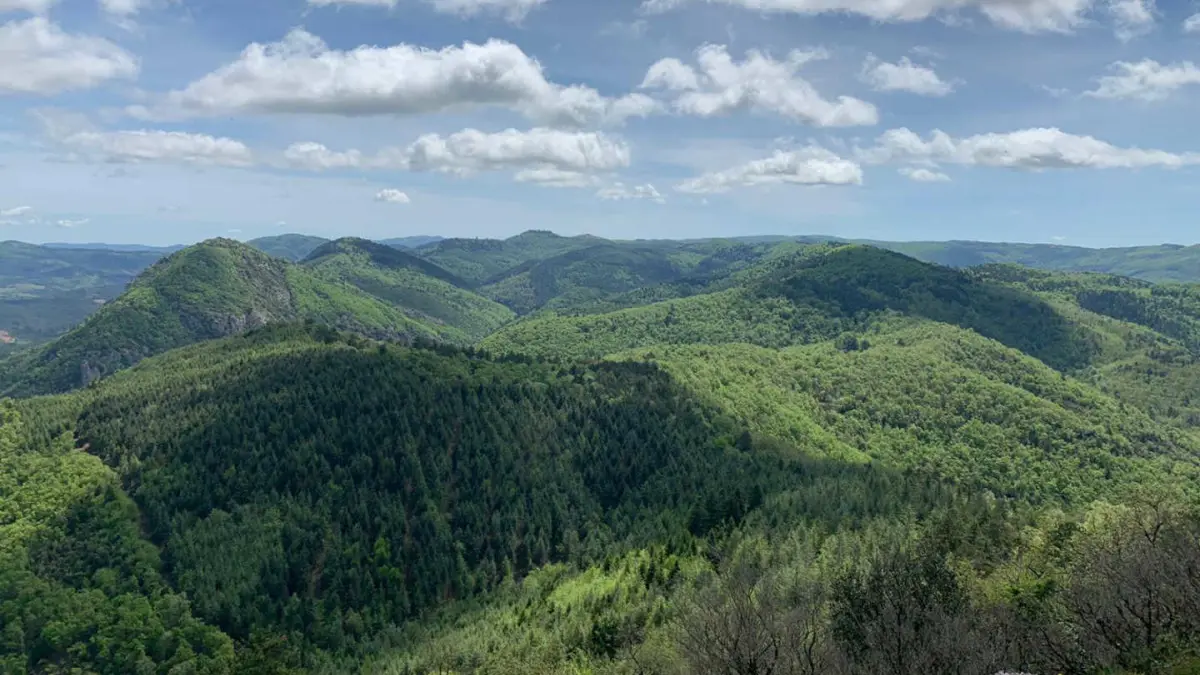 11G1161 - La Tuilerie_5