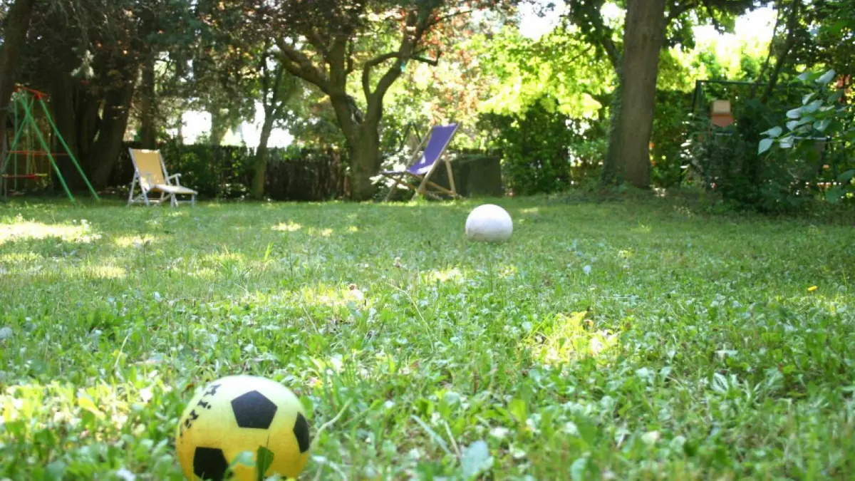 11G1582 - Le Maronnier_4