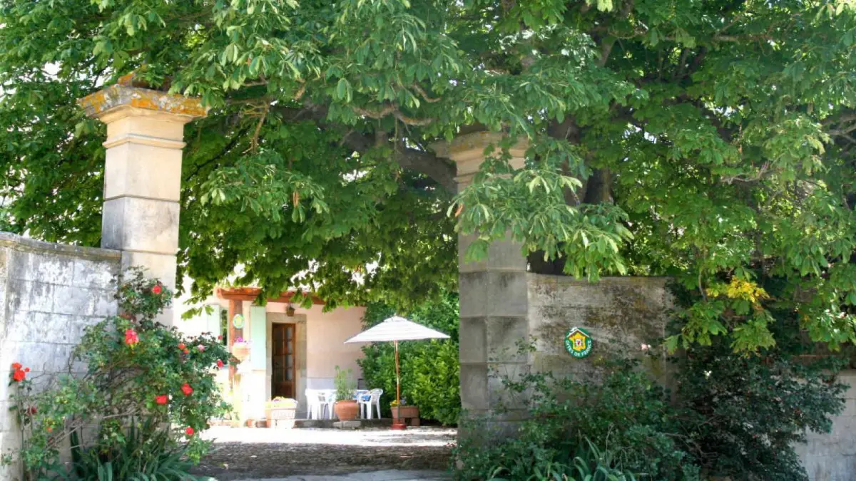 11G1582 - Le Maronnier_1