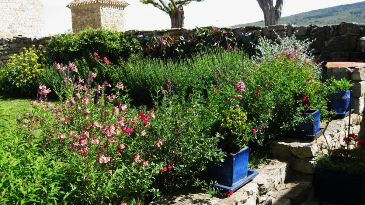 11G1619 - La Sellerie_9