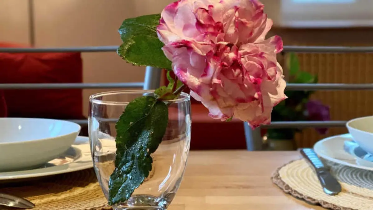 11G1612 - Gites les Jendous_7