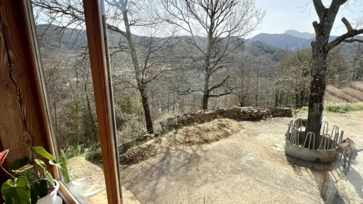 11G1630 - Les Fangalots_5