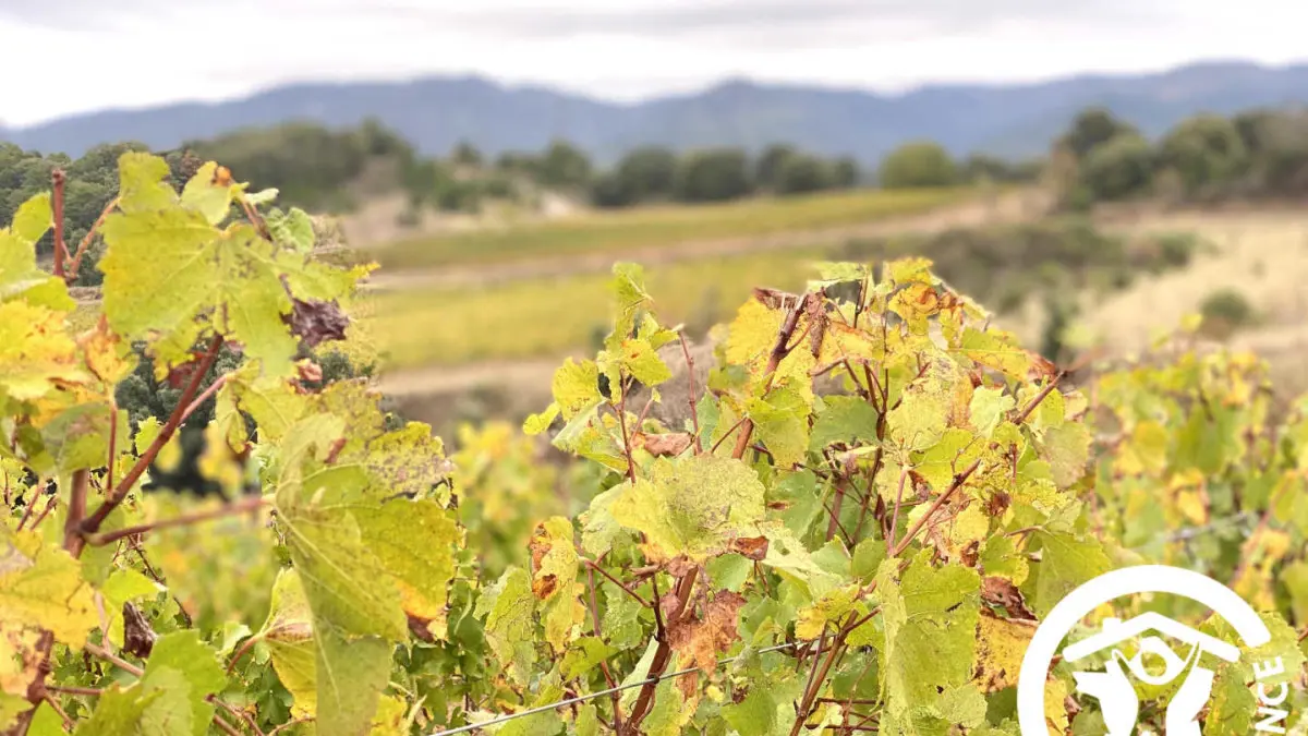 11G1662 - la Cave de Jean_9