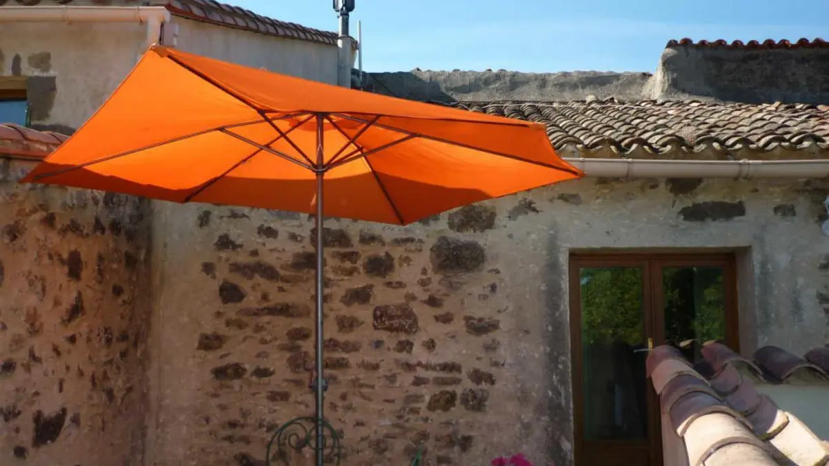 11G1856 - Le Noisetier_1