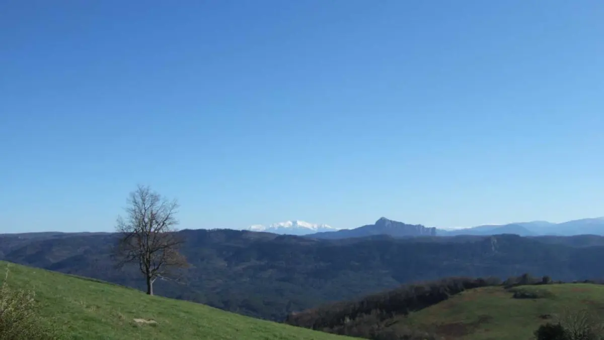 11G1993 - Gîte 1993_10