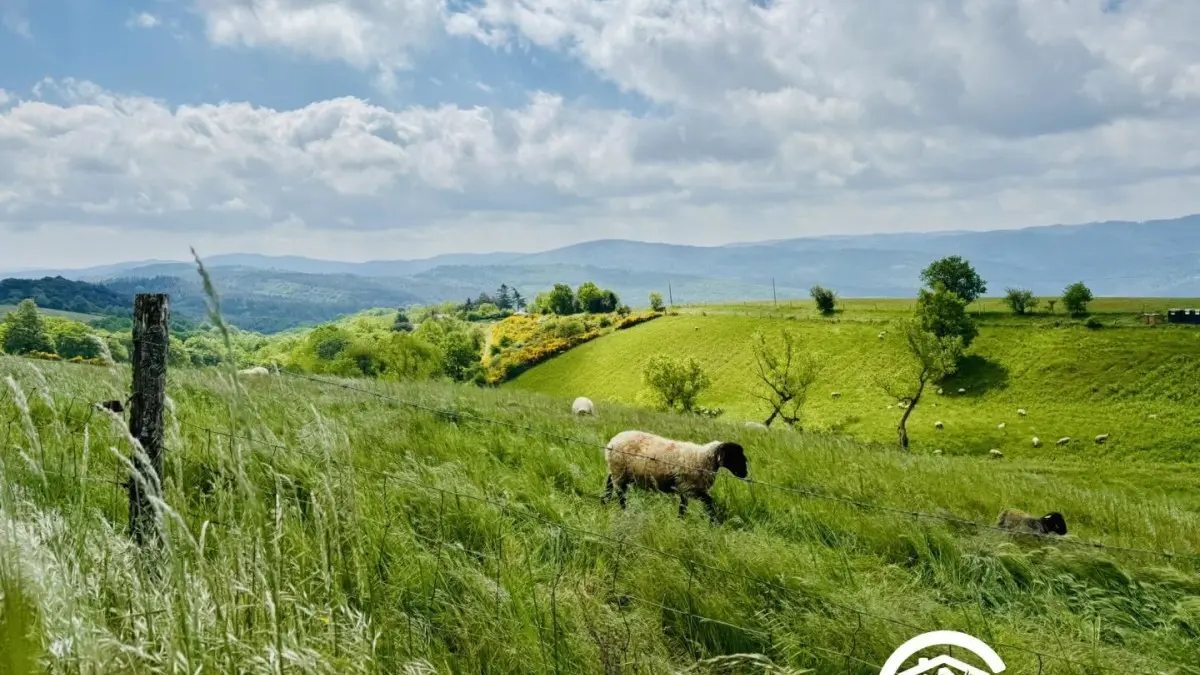 11G2619 - Domaine des Goudis - Gîte Cel_2