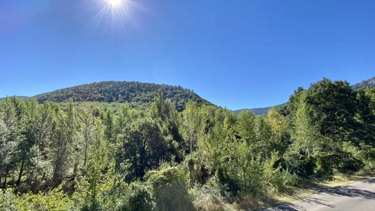 11G2691 - Soula de la Hille_6