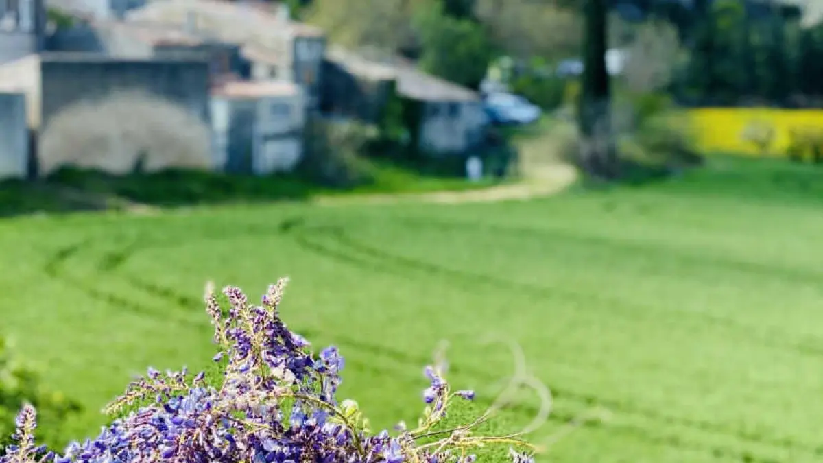 11G2977 - La Capitelle_9