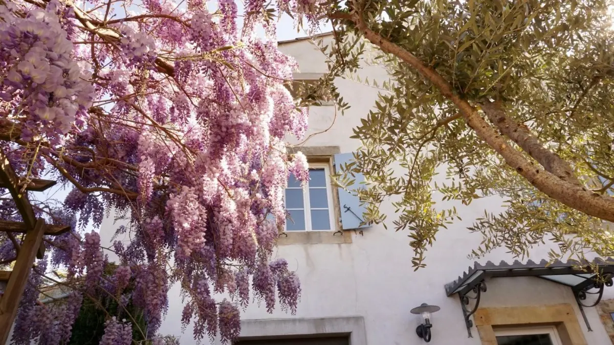 11G3230 - La Bastide Saint Etienne - Maison Alphonse_9