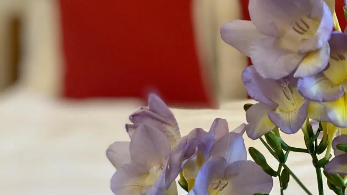 11G3586 - L'ancienne Forge 10 personnes_9