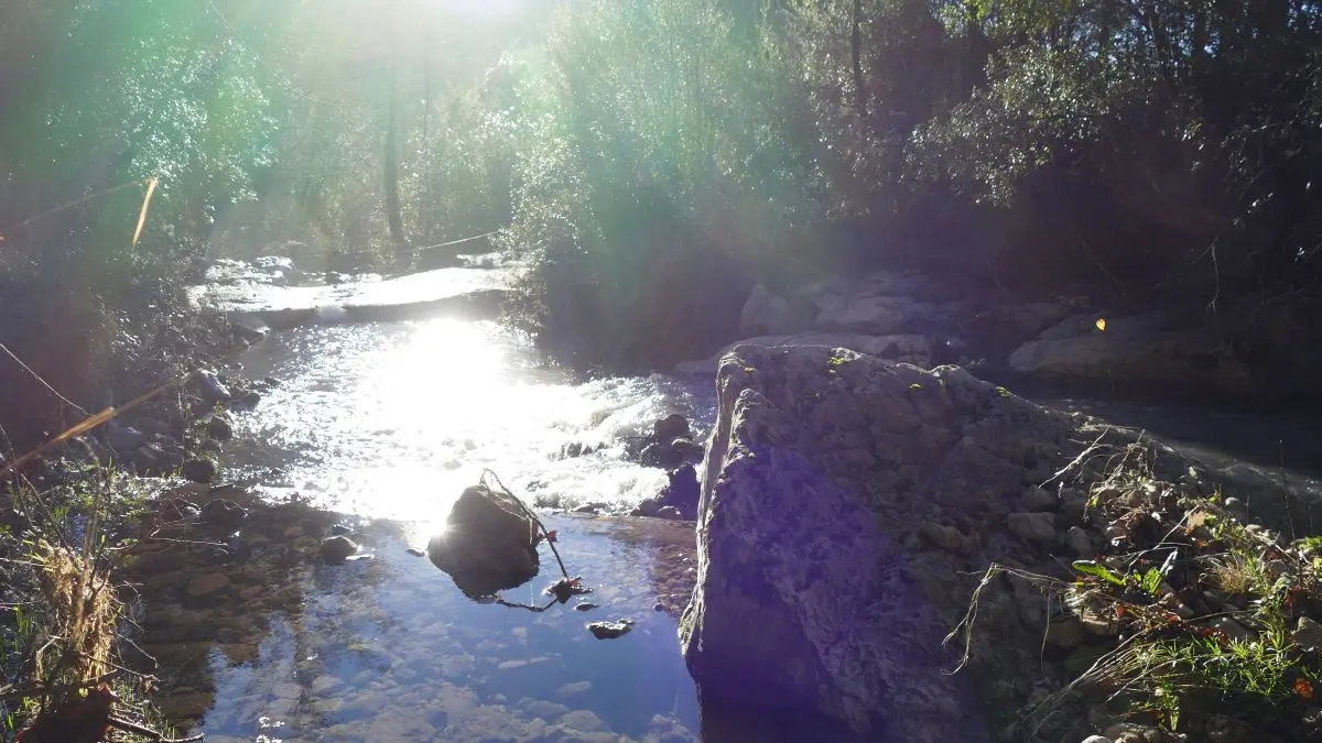 Le Figuier, en ballade, ruisseau de la Sals