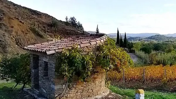 123771097_1613426655495607_8401506632823245108_o