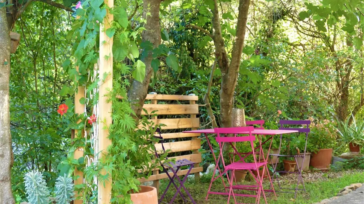 Le Figuier, la terrasse